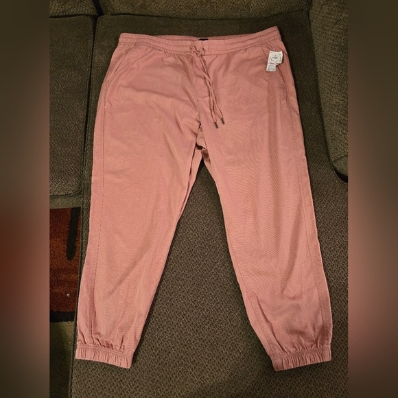 Gap Jogger Pants Women Blush XXL Elastic Waistband Pockets Tassles Athletic New - Picture 3 of 13